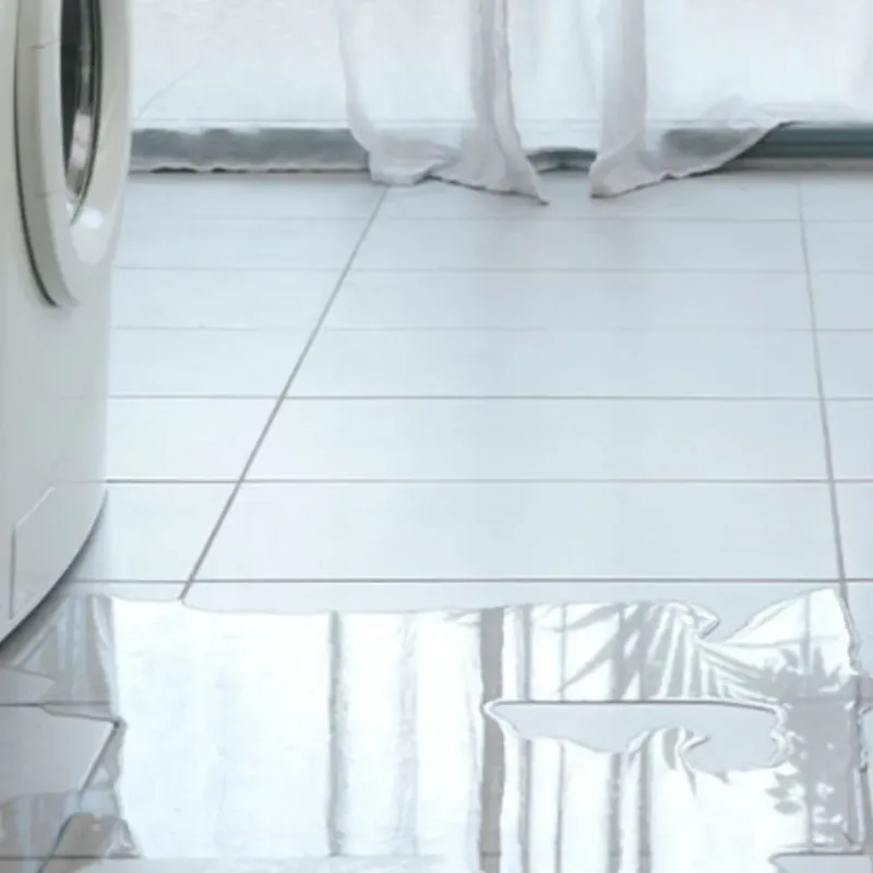 Appliance Leak Cleanup in Miami Beach, FL